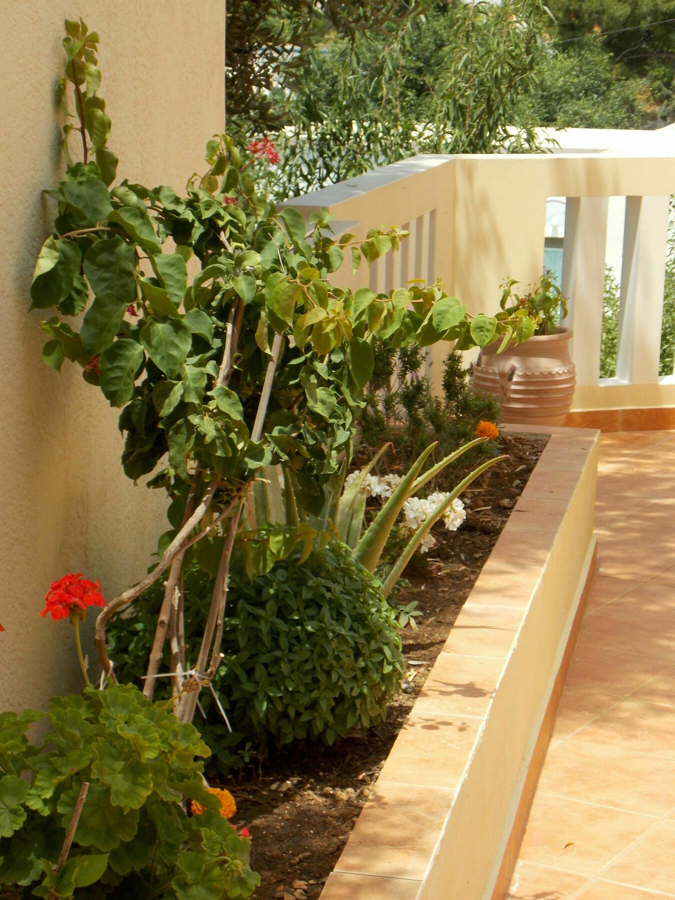 Myrties Boutique Apartments Masouri Luaran gambar